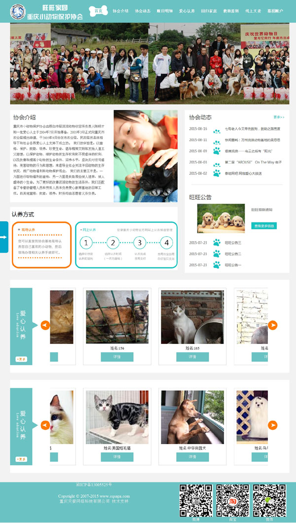 小动物保护协会网站制作 界面设计截图