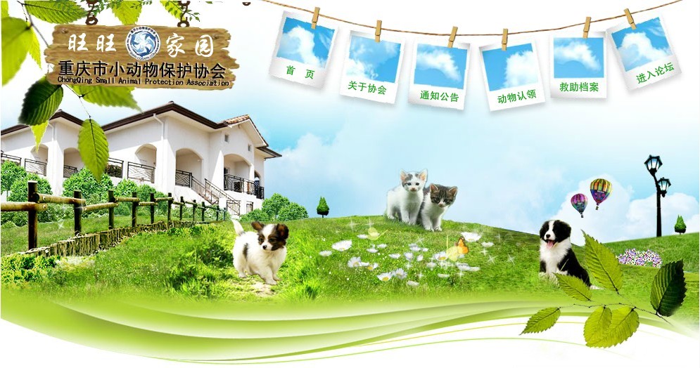重庆小动物保护协会